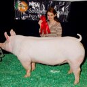 Travis McCarthy - @TravisMcCarthy2 - Twitter