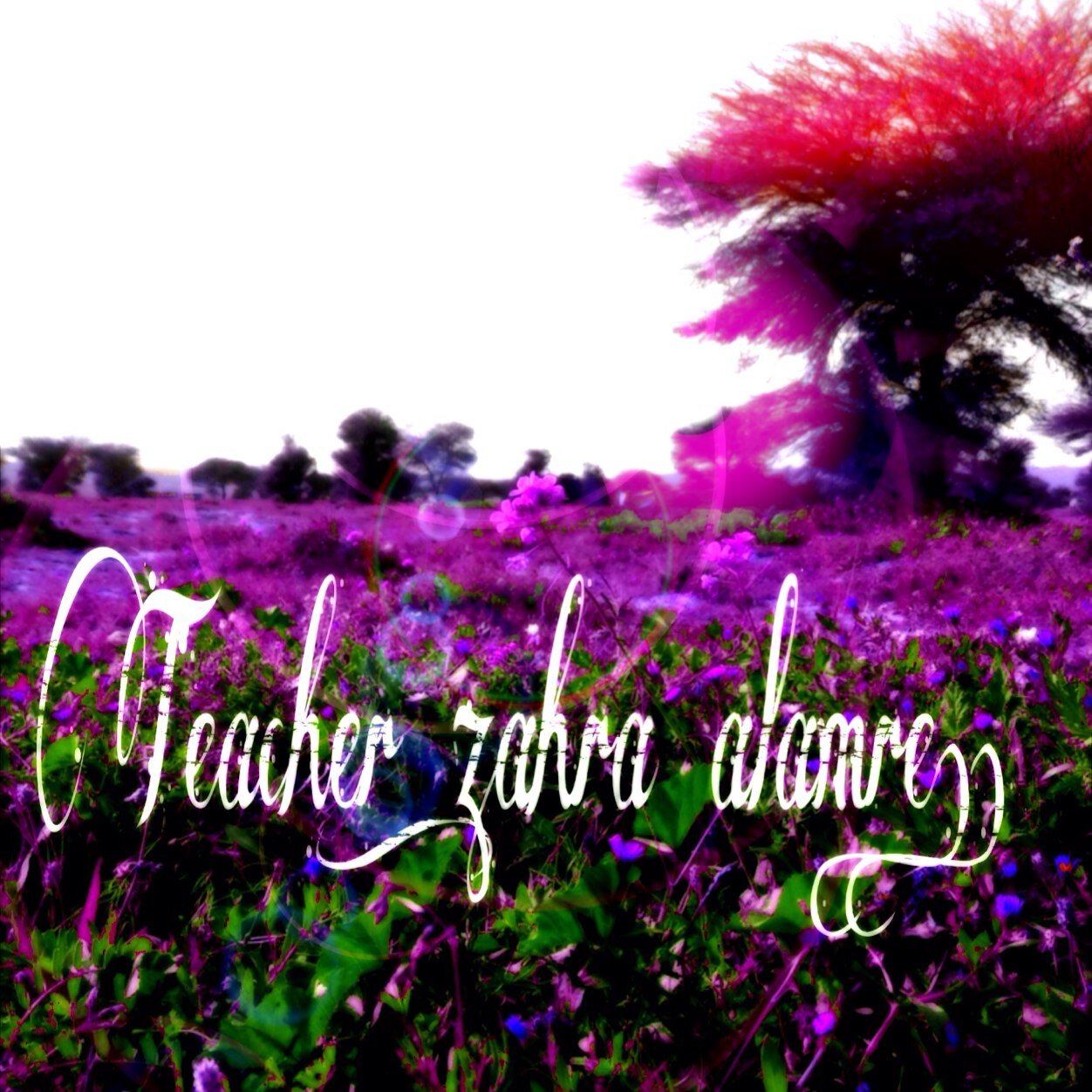 Teacher_zahra's profile picture. لأني آحببتها جعلت هذا الحساب صدقة جارية لها  بأذن الله .. *لمعلمتي زهرة العمري * شاركونا في هذا الهاشتاق بكتابة أي شي للمعلمة زهرة #for_my_teacher_zahra ✨ ..