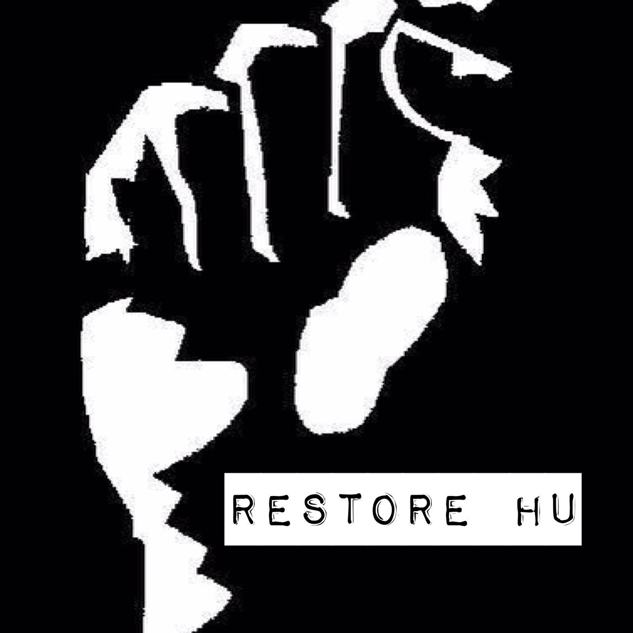 This organization a collective body of students focused on reforming Hampton University in key areas. | Inspired by Romeo Garcia.