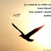 Yağmur Demirci (@yamurde49362755) Twitter profile photo