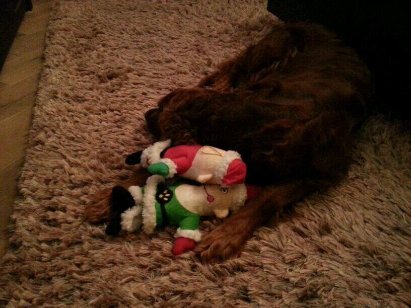 petrusjohn's profile picture. 