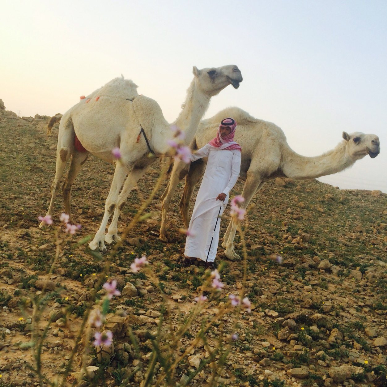 الانستقرام _ic5 واتس0552229237