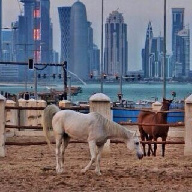 يَ اللہ .. ترحمناا ۈ ترضى علينا ` وتكتب لنا في يوم لقياک #جنہ ..♡*