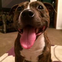 craig (@craig140181) 's Twitter Profile