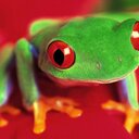 Špela Pirc - @ShPeLcHk - Twitter