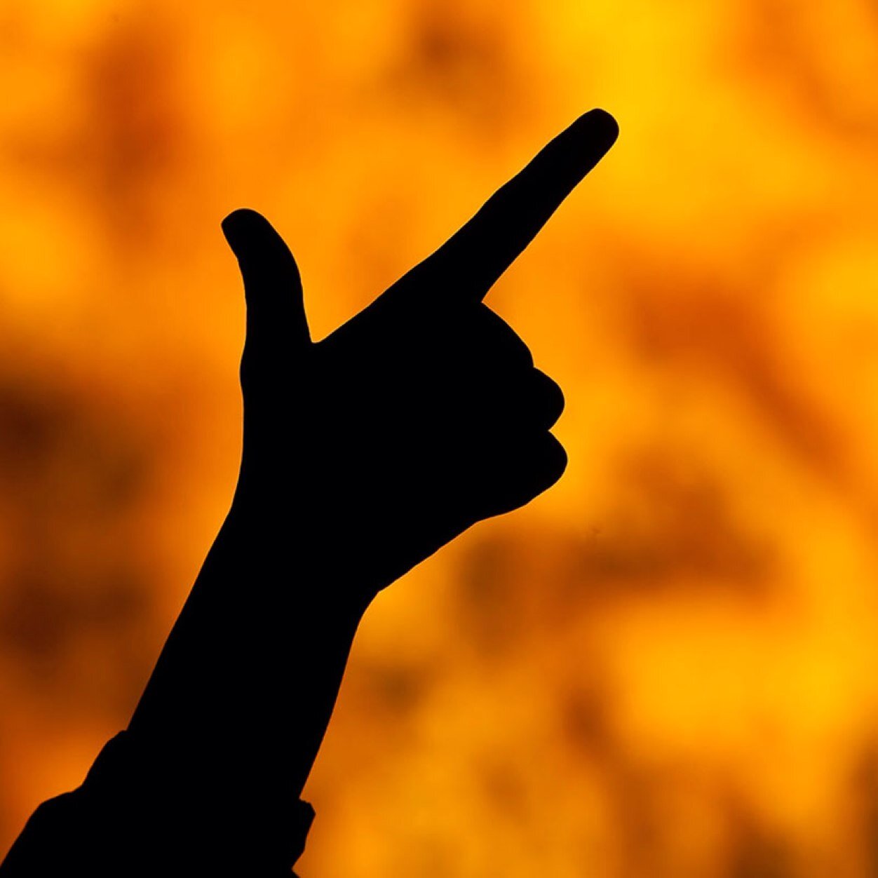 GaryGward1209's profile picture. 