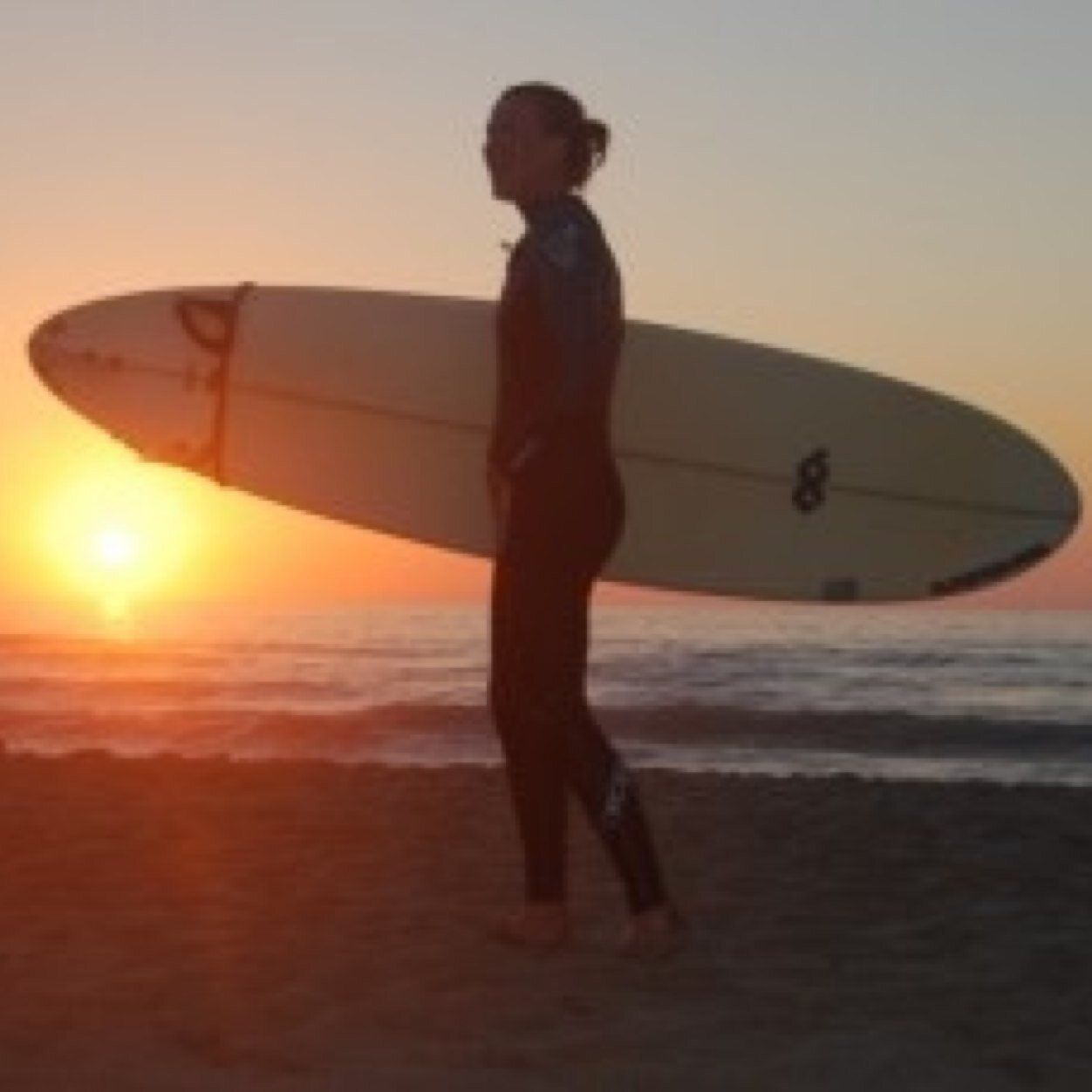 Ontwikkelingspsycholoog/ Organisator Surf Project (http://t.co/zLTgTXD1tS)/ ENFJ/ Communicatie/ Golfsurfen/ Hardlopen/ Rule nr. 6 = Neem jezelf niet te serieus