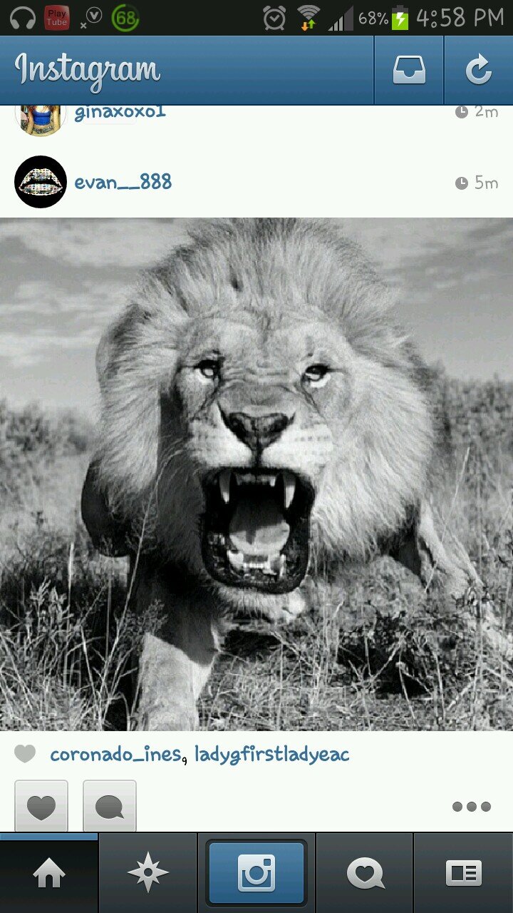I only answer to GOD +IM-YOUNG-{I.#BOP}]#B.T.D LEADER