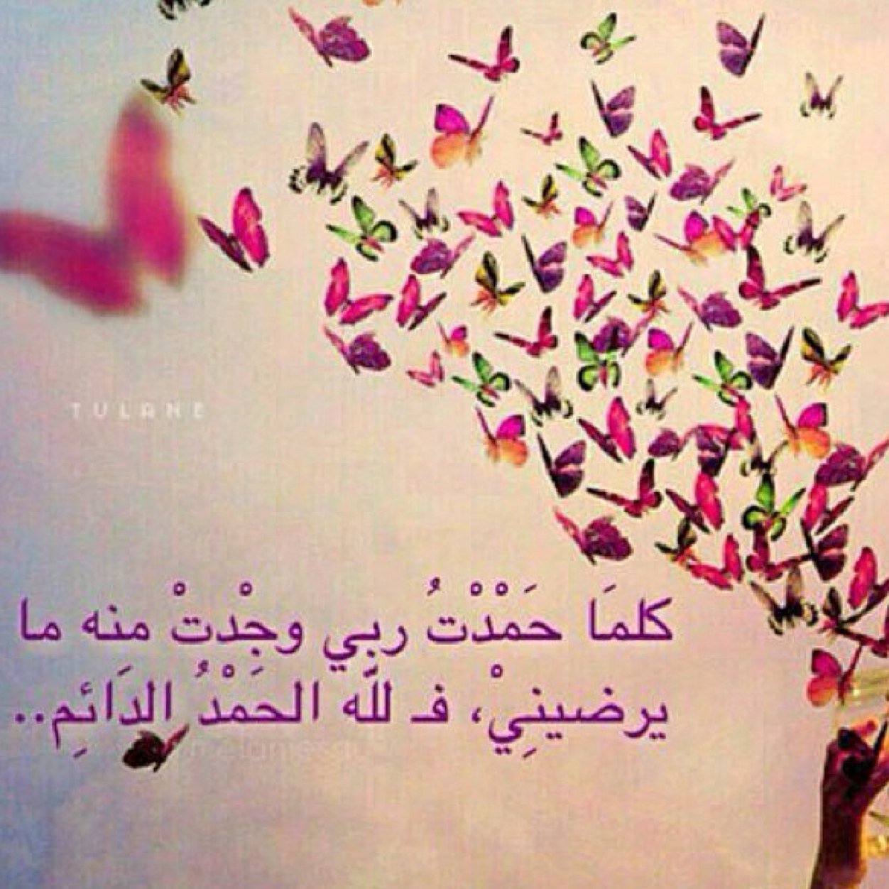 يشرفني متابعتكم لي بالانستقرام❤️