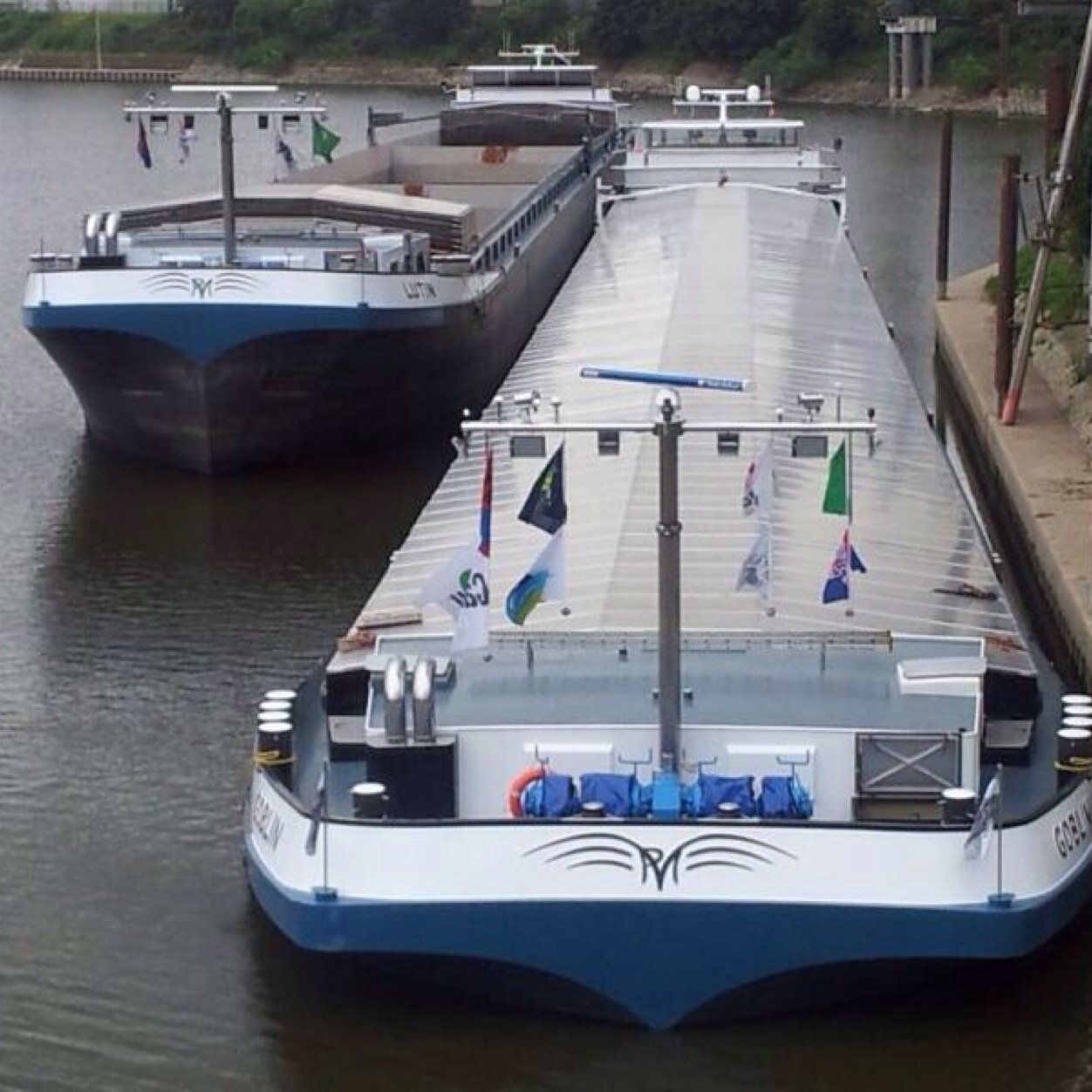M/S Lutin