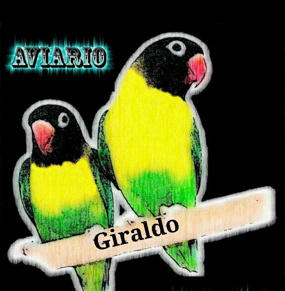 Cria de personatas Linea verde Ancestral y linea Azul