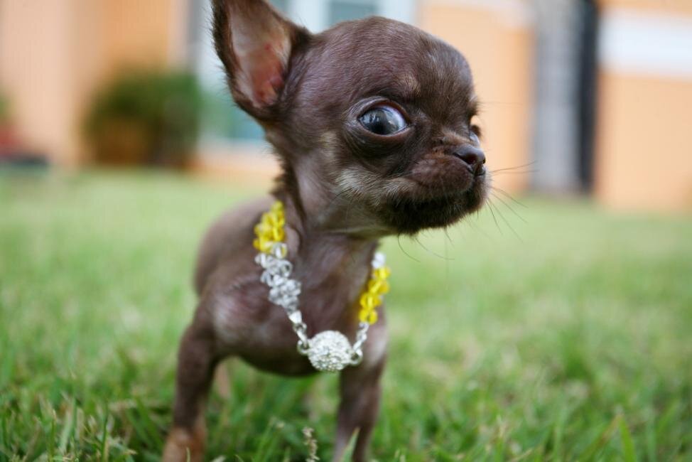 trabajoenagency's profile picture. Amo ser publicista, aunque a veces me queje de trabajar en una agencia.