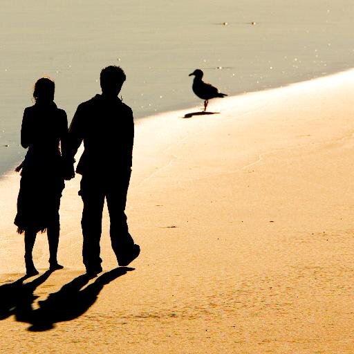 StephenHoweBook's profile picture. #Kindle #Ebook #Nonfiction #Author #Publisher