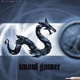 Smaul Gamer YT