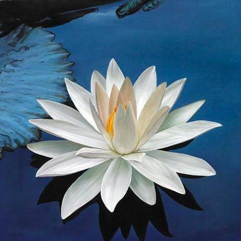 • Meditation & Healing Center • Empowerment | Wellness | Transformation