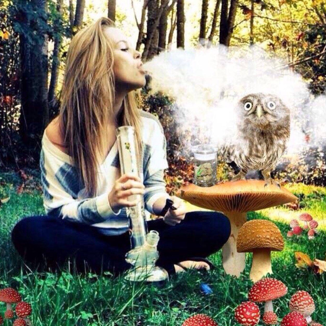 Small town stoner moved to the city. 
Weed every day, Drugs every weekend, & Jack Daniels is my main man❤️