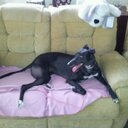 Andy Morey - @moreyap - Twitter