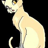 Lightfur (@light_of_bc) 's Twitter Profile