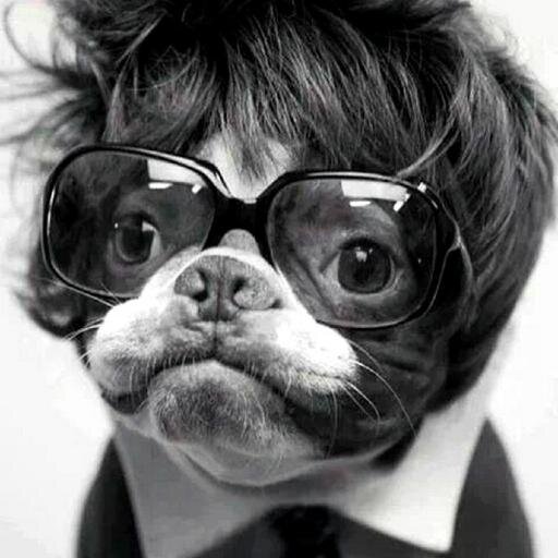 ReereeSoko's profile picture. eye rolling expert