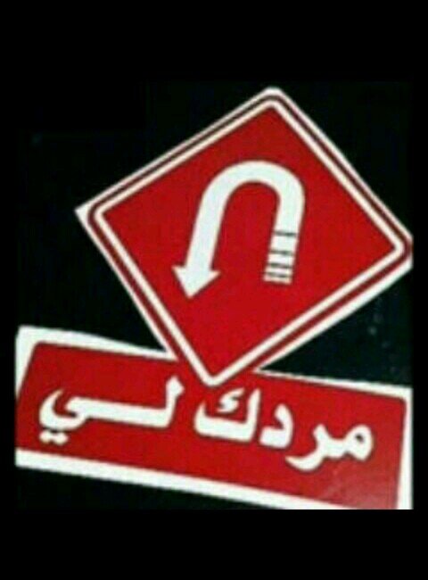 ‏‏‏‏‏‏مردك لي 503