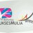 KSMPadang's profile image