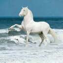 خالد علي (@098765u3282) Twitter