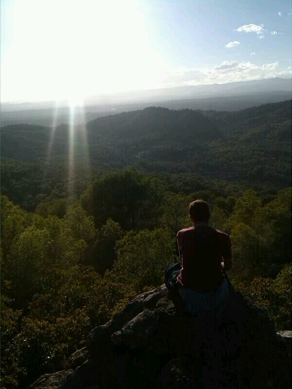 jorgeml79's profile picture. 