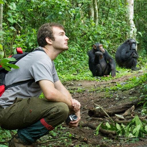 I work on tool use, culture & communication in chimps & humans. Asst Prof FPSE @UNIGE_en 🇨🇭. Co-director @Bugomaprimates.