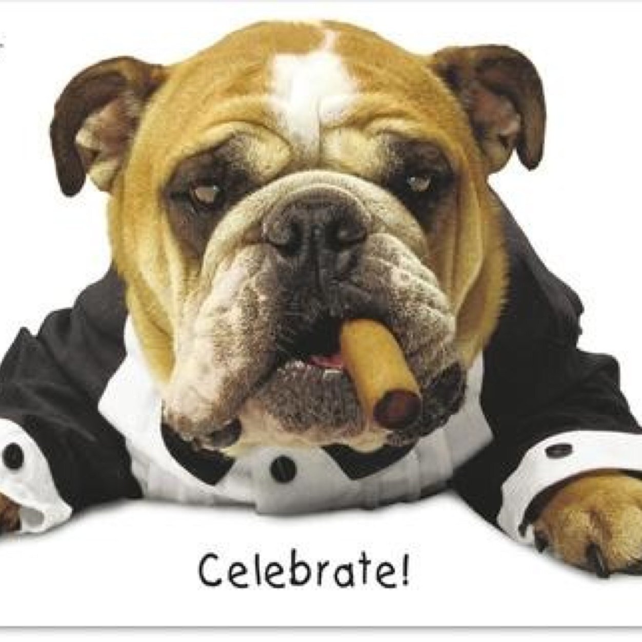 Spyxavier's profile picture. 