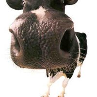 dairyresearch (@dairyresearch1) 's Twitter Profile Photo dairyresearch (@dairyresearch1) 's Twitter Profile Photo