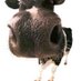 dairyresearch (@dairyresearch1) Twitter profile photo