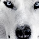 stephen devlin - @stephendevlin6 - Twitter