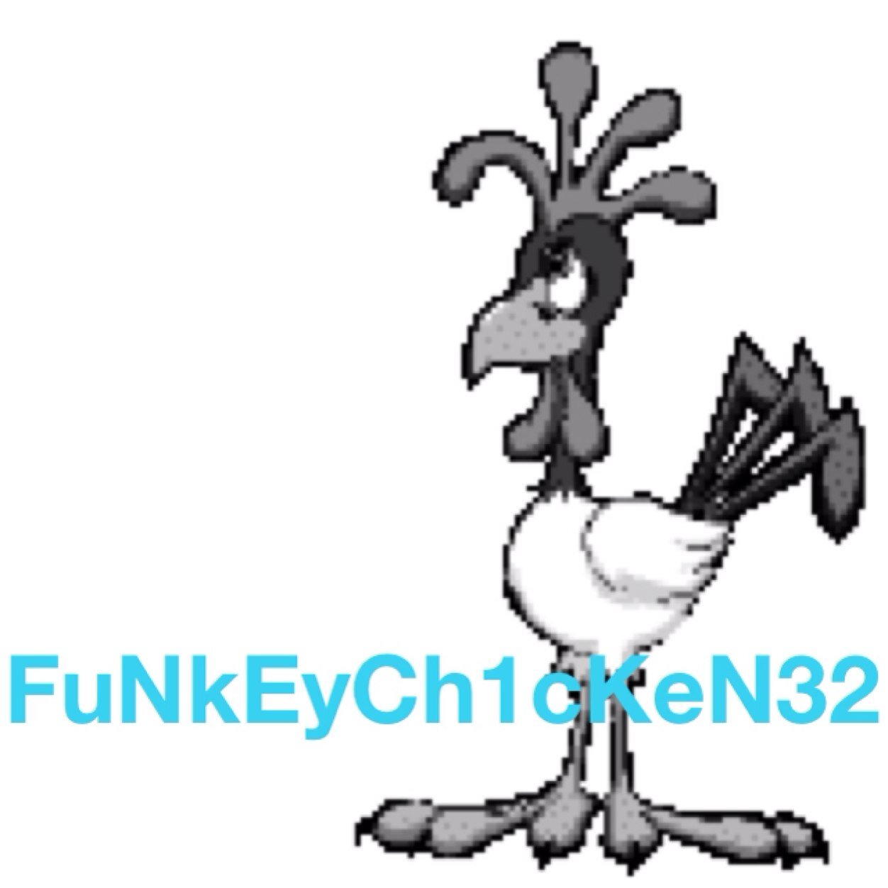 MaGiFuNkEyCh1cK's profile picture. 