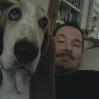 SimonCh (@simonchapman9) 's Twitter Profile