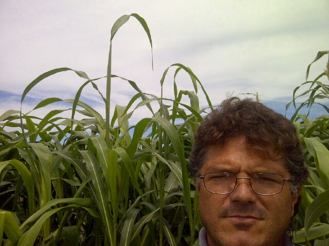 Ingeniero Agrónomo.