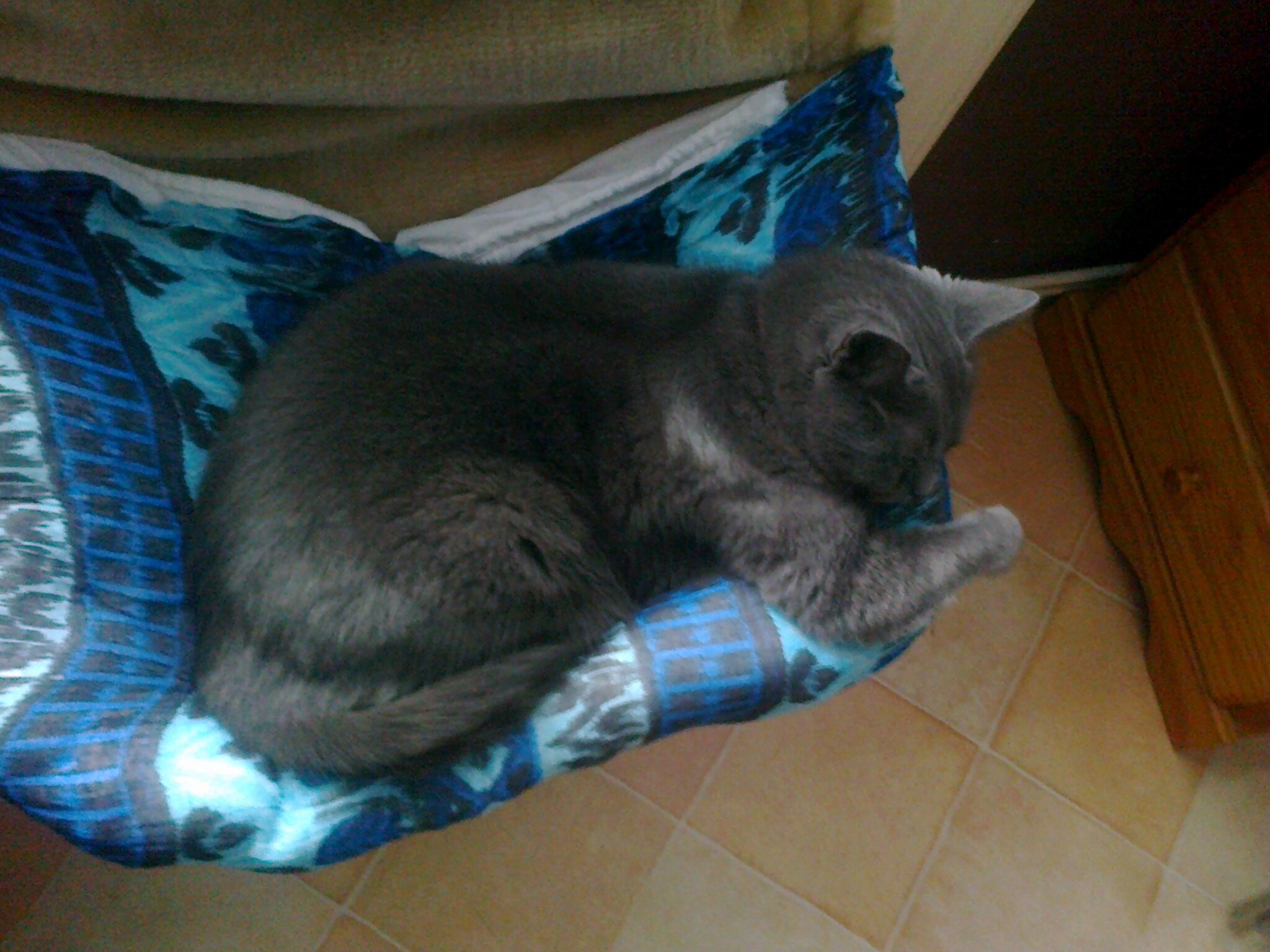 loubele1's profile picture. 