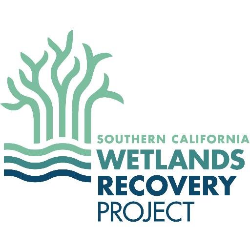 Southern California Wetlands Recovery Project works with others to conserve, enhance, and restore coastal rivers, streams, and wetlands in Southern California.