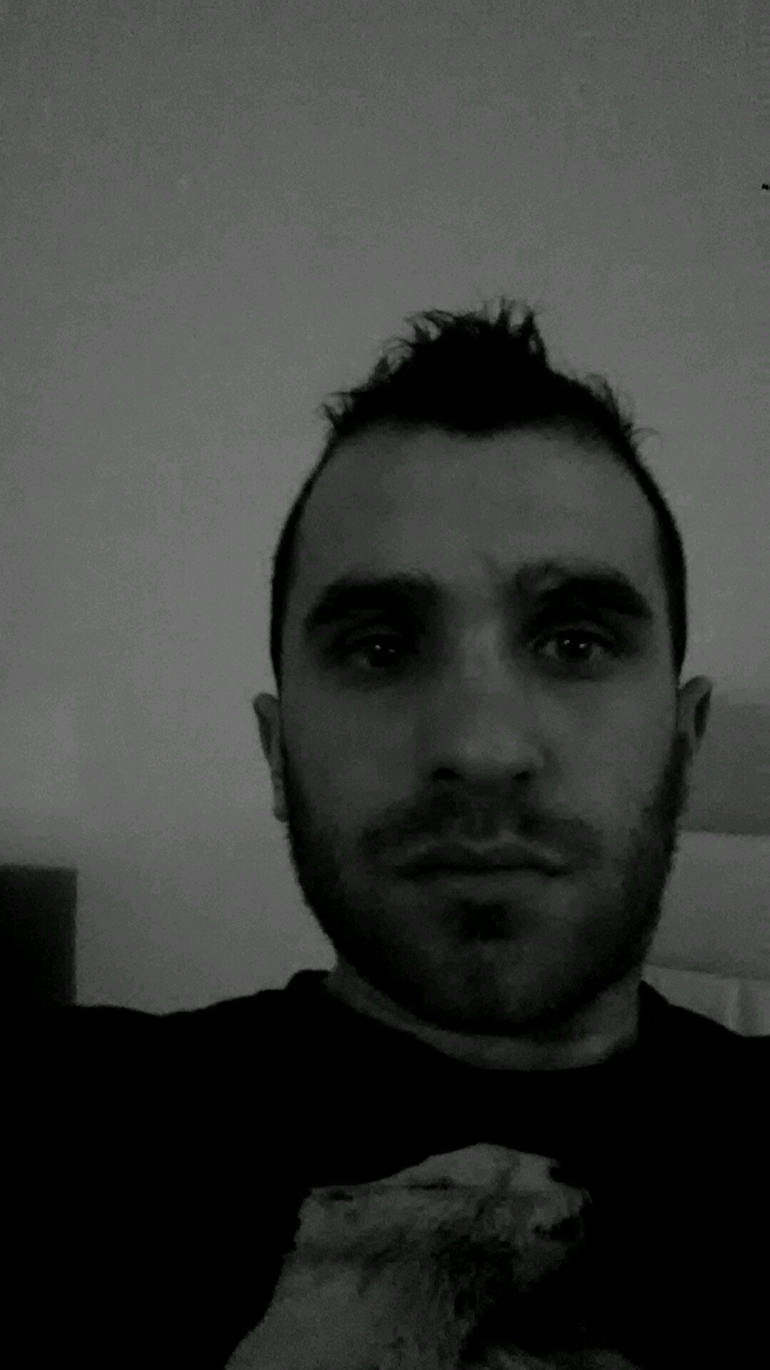 Laurent13800's profile picture. 