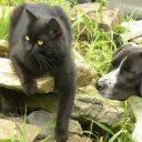 marco bucchi - @marcobucchiobur - Twitter