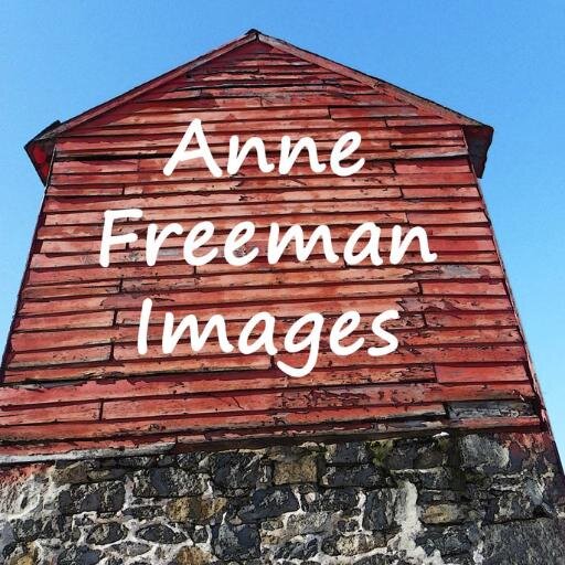 AnneFreemanArt's profile picture. Anne Freeman Images: The Art of the Outdoors.  Americana art prints: Old Barns, Farms, Fairs, Country Landscapes, Doors, Windows.  ~ Prints to Make you Smile ~