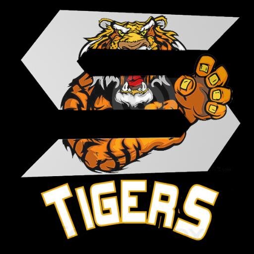 13 sniper/trickshotter! my goals FaZe Tigerz and Torq Tigerz