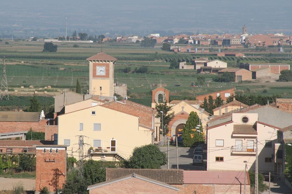 LaRapitaa's profile picture. Twitter de la Ràpita. Per mantenir-se al corrent de tot el que passi al poble!