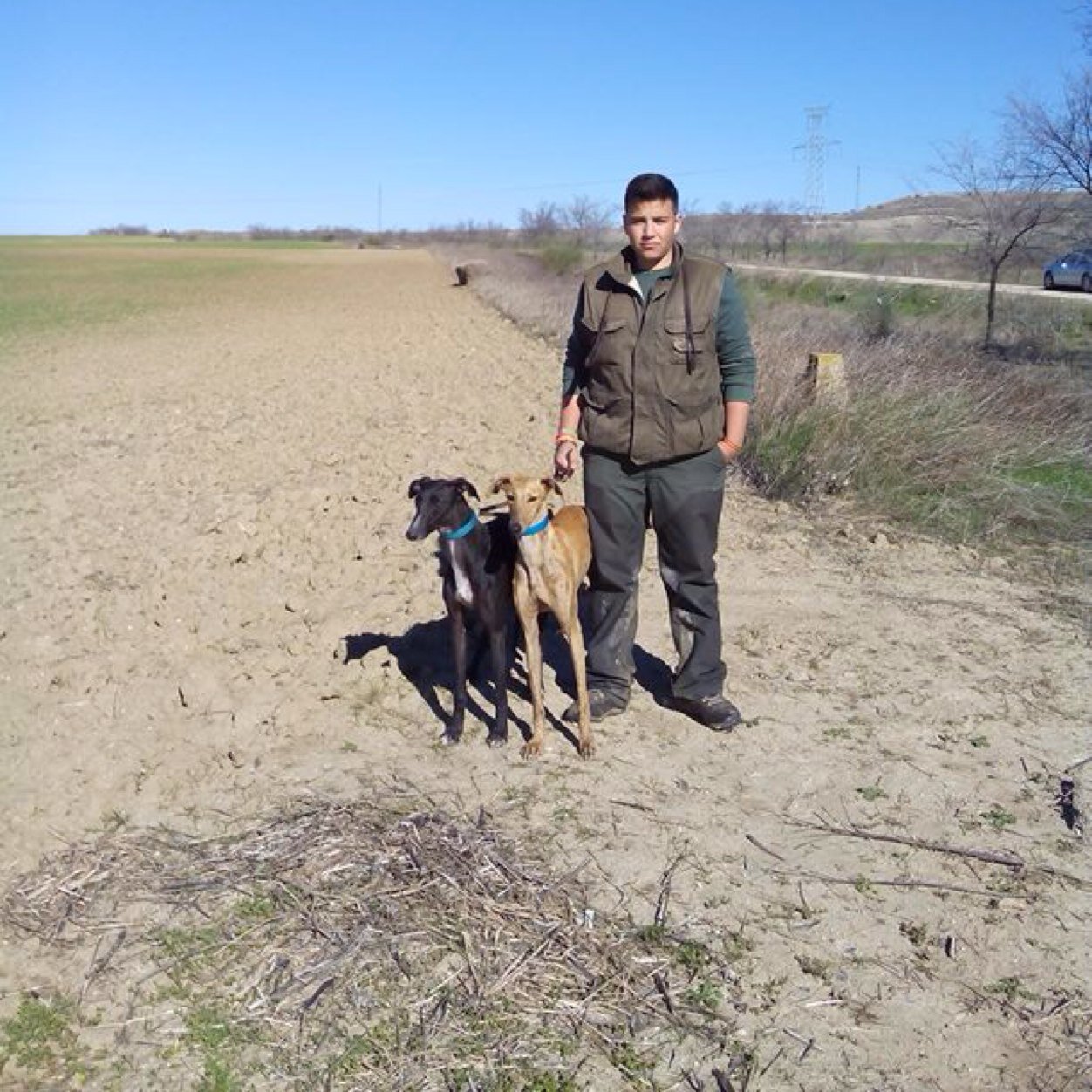 Pasionario de los galgos y la caza en general. Fan del manquepierda. Gass!!