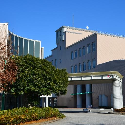 tosareha's profile picture. ▶︎インスタhttps://t.co/Iit7wZBcLN ▶国試合格率累計90%超 ▶︎理学療法士(PT)・作業療法士(OT) のプロを育てる専門学校です。2024.4月高知健康科学大学(@ko_ken_k3)開学しました！