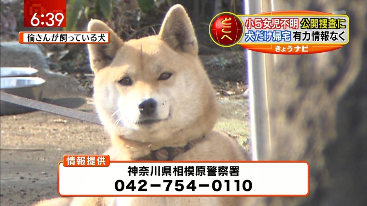 いろいろまとめてます。