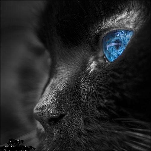 Alisse32's profile picture. Amo comer chocolate!