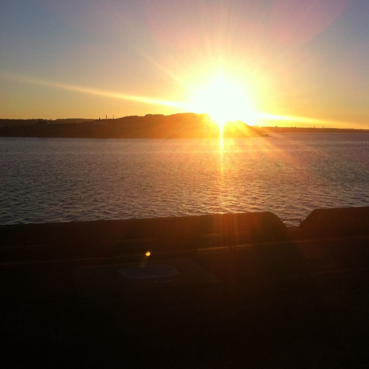 pamlrich's profile picture. 