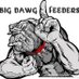 Big Dawg Feeders ® (@bdgfeeders) Twitter profile photo Big Dawg Feeders ® (@bdgfeeders) Twitter profile photo