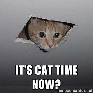 The original Catcoin was released December 23, 2013 on its own chain. People refer to it as 