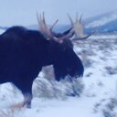 Natasha Becker - @natbecker26 - Twitter